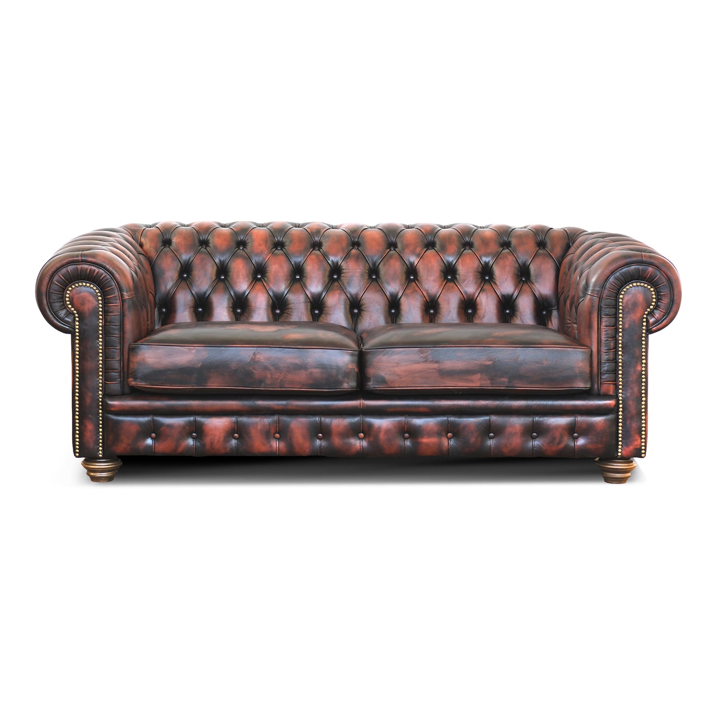Divano Letto Chesterfield in Pelle Primo Fiore Premium con Rete e Materasso Pieghevole