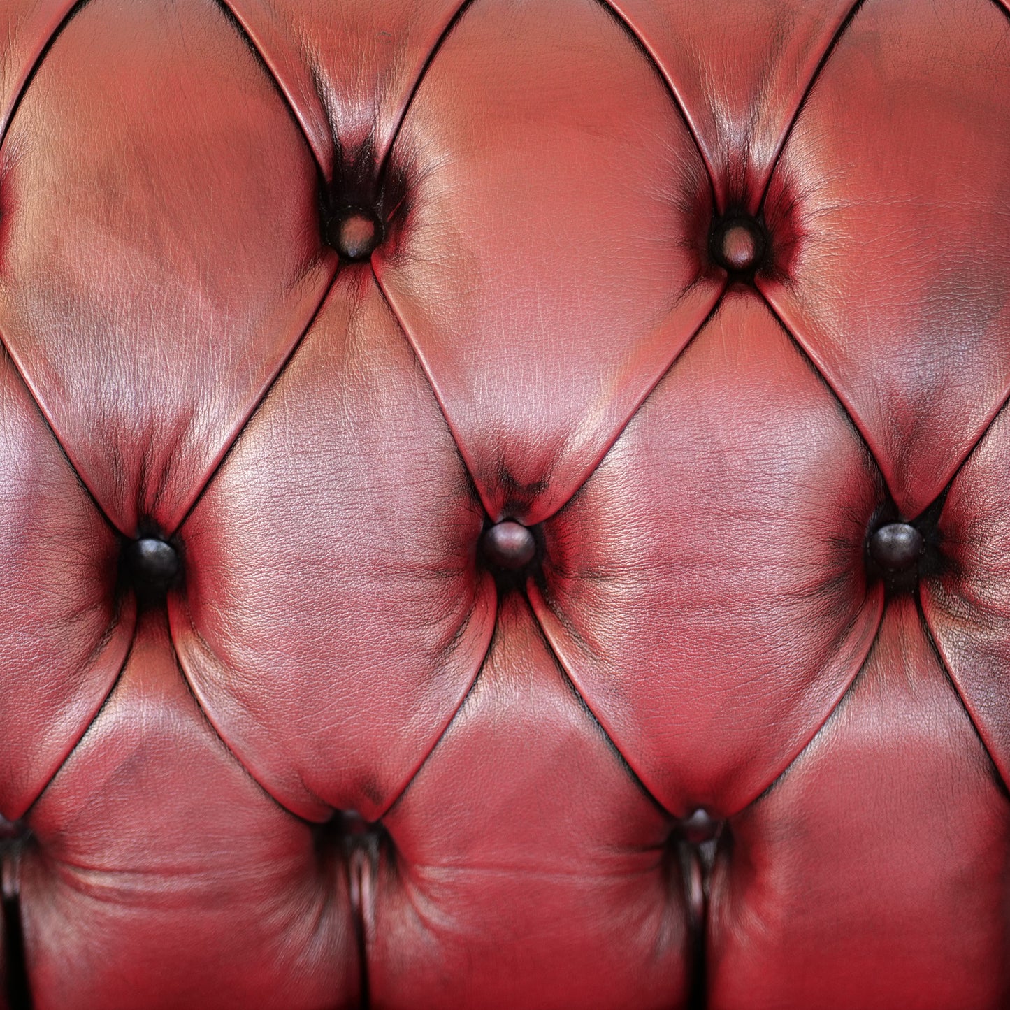 Divano Chesterfield in Pelle Primo Fiore Premium – Iconico, Finiture di Pregio