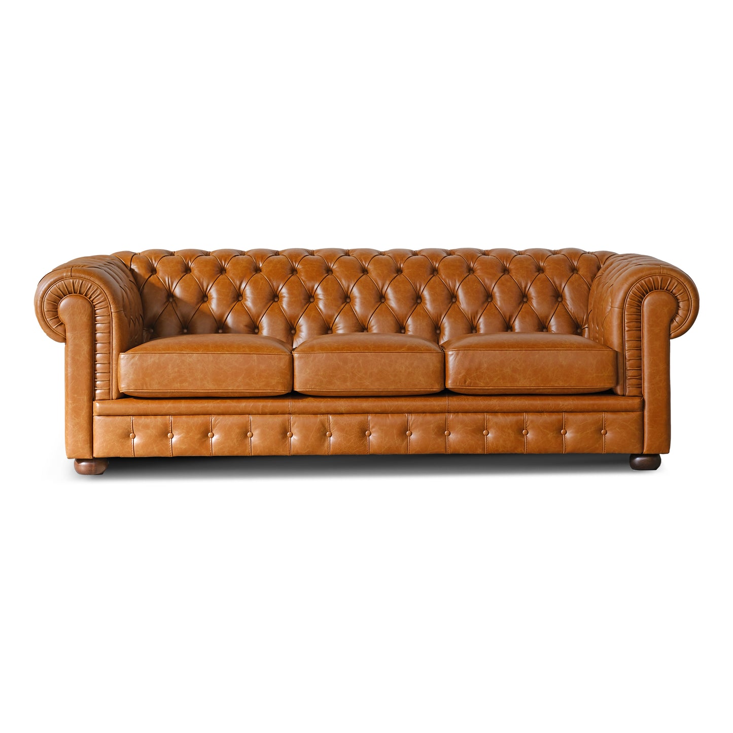 Divano Letto Chesterfield in Pelle Primo Fiore Premium con Rete e Materasso Pieghevole