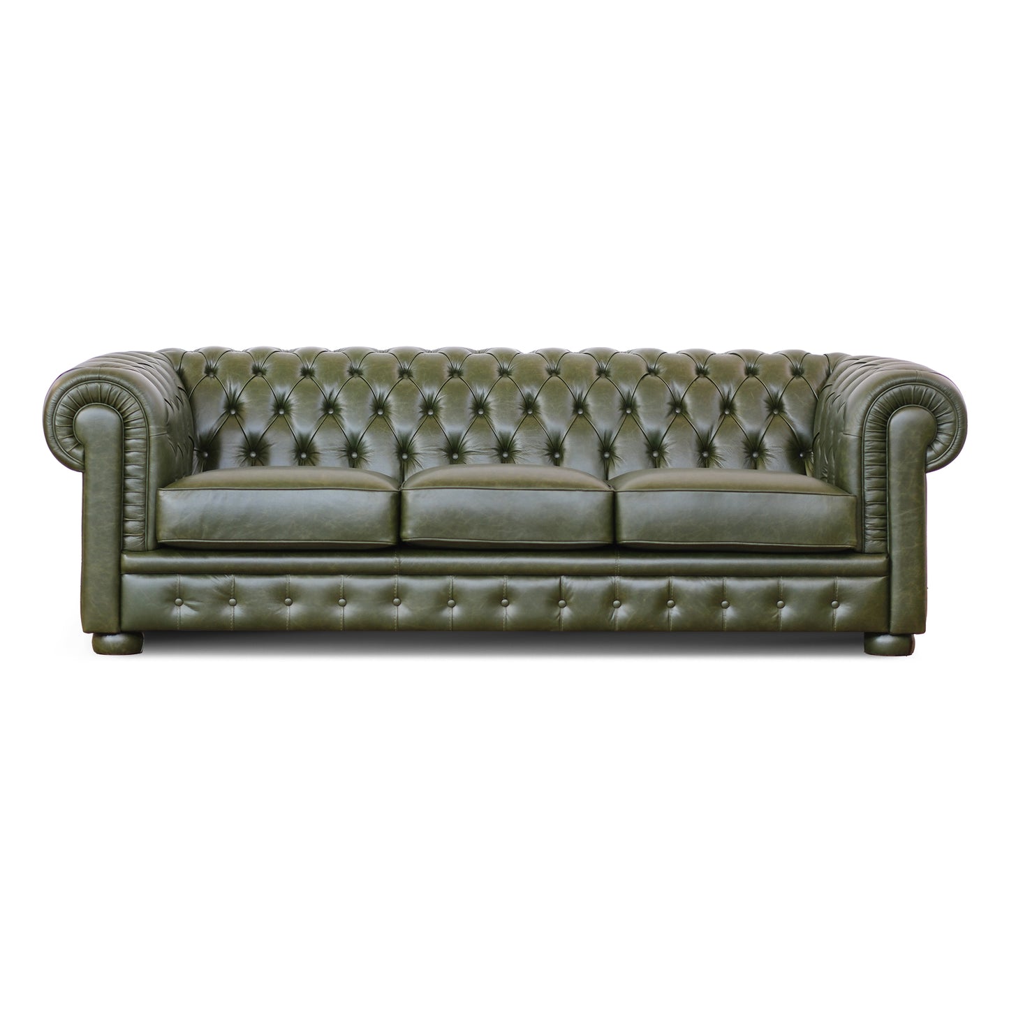 Divano Letto Chesterfield in Pelle Primo Fiore Premium con Rete e Materasso Pieghevole