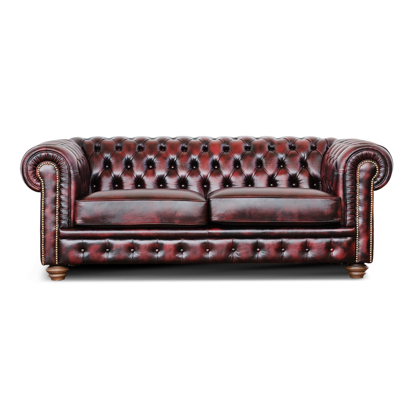 Divano Letto Chesterfield in Pelle Primo Fiore Premium con Rete e Materasso Pieghevole