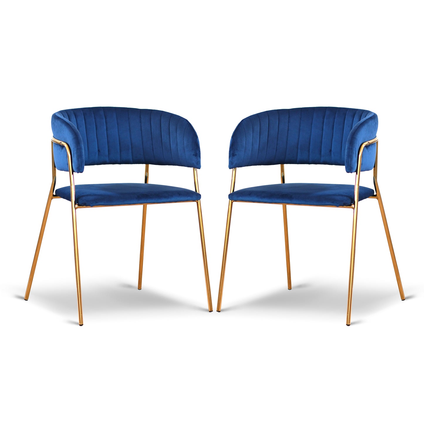 Lot de 2 chaises en velours bleu dossier enveloppant et structure dorée - Vita