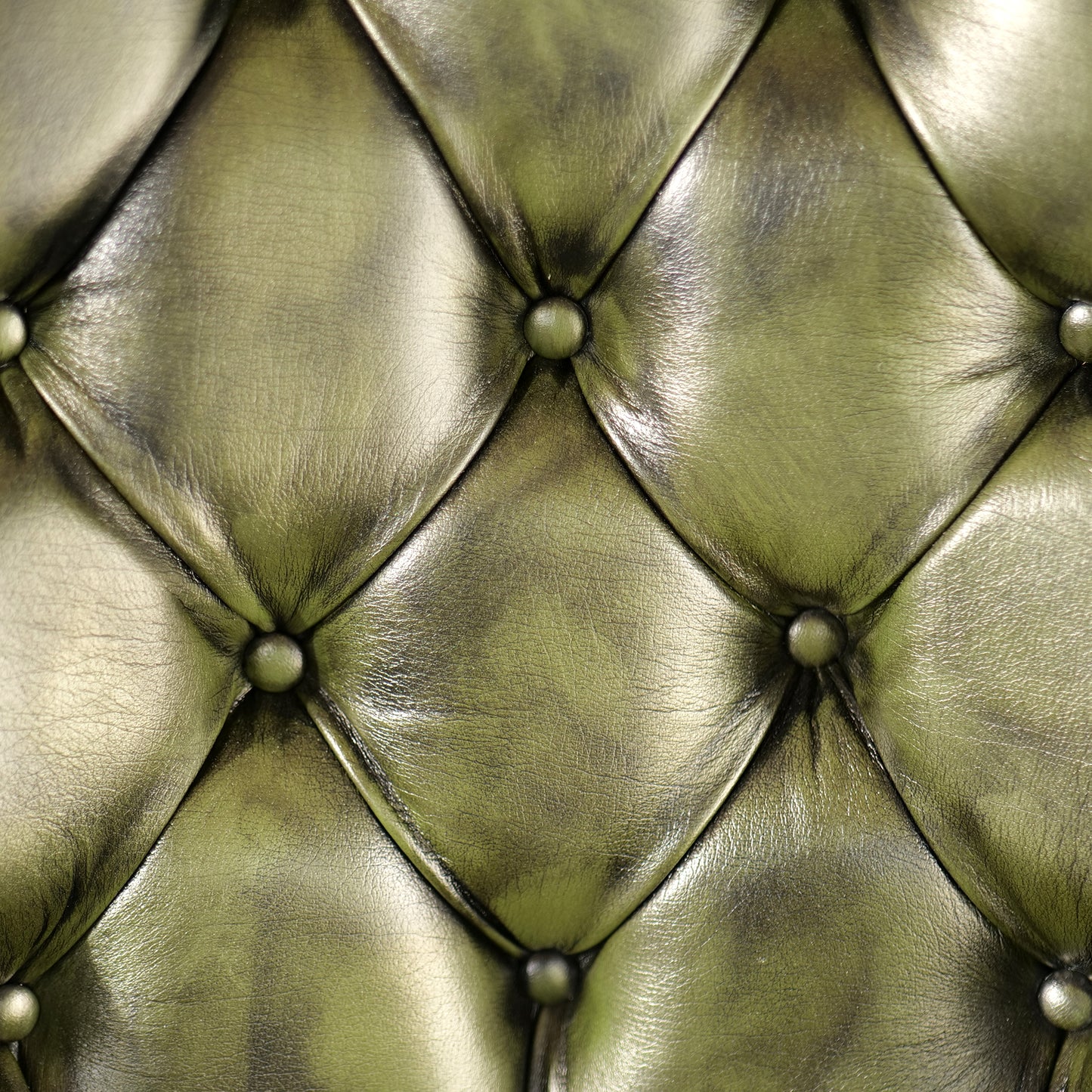 Sedia Chesterfield Casadei Pelle Primo Fiore - Gambe Legno di Faggio Massello