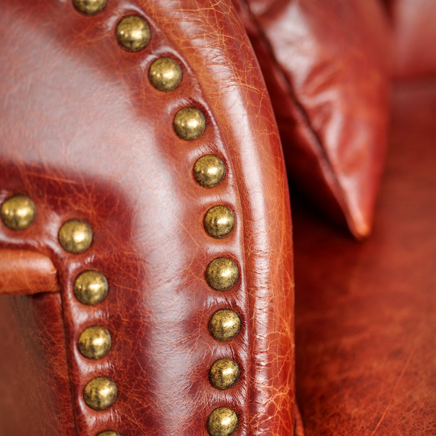 Divano Chesterfield Domus Pelle Primo Fiore Premium - Design Vintage