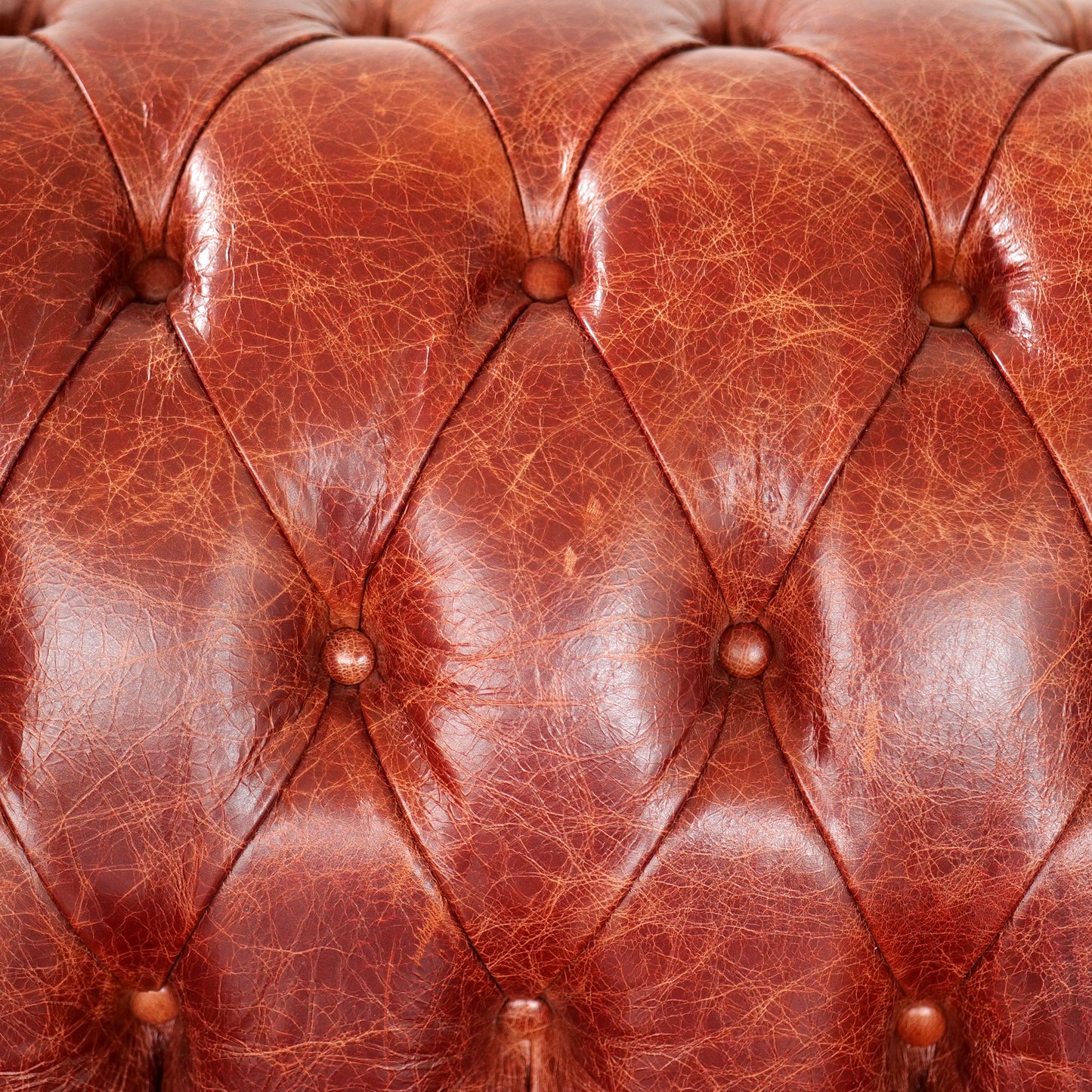 Divano Chesterfield Domus Pelle Primo Fiore Premium - Design Vintage
