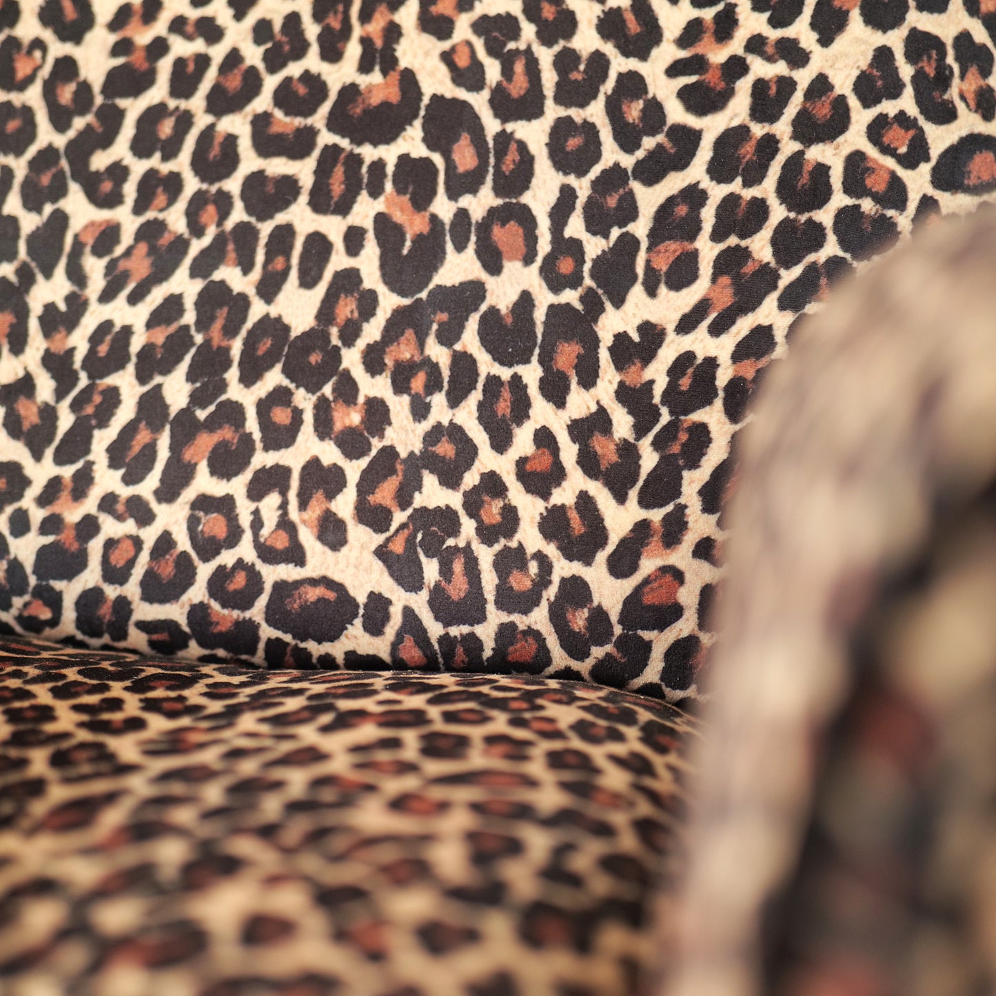 Fauteuil design vintage Vico en cuir grainé pull up rouge cerise avec clous vieillis et pieds noirs et laiton 